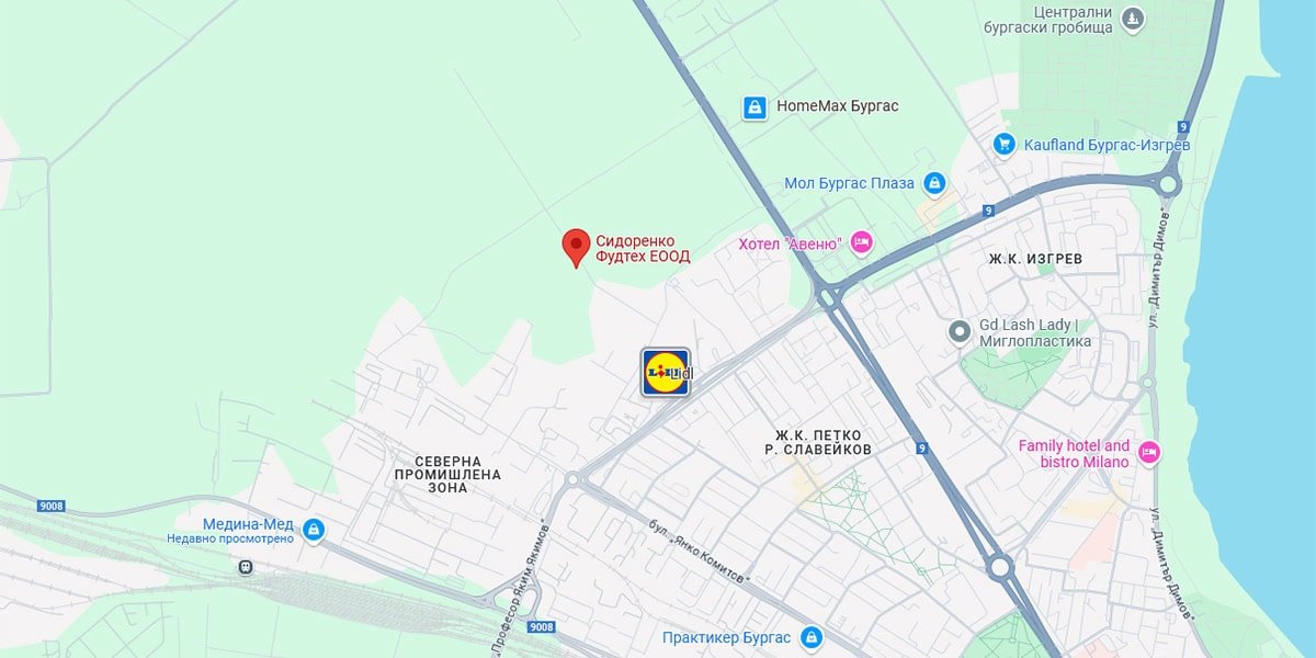 sidorenko holding on google map